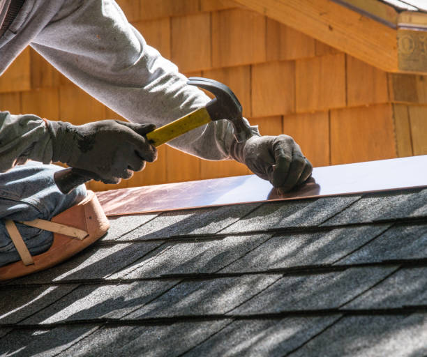 Best Roof Gutter Cleaning  in Old Brookville, NY